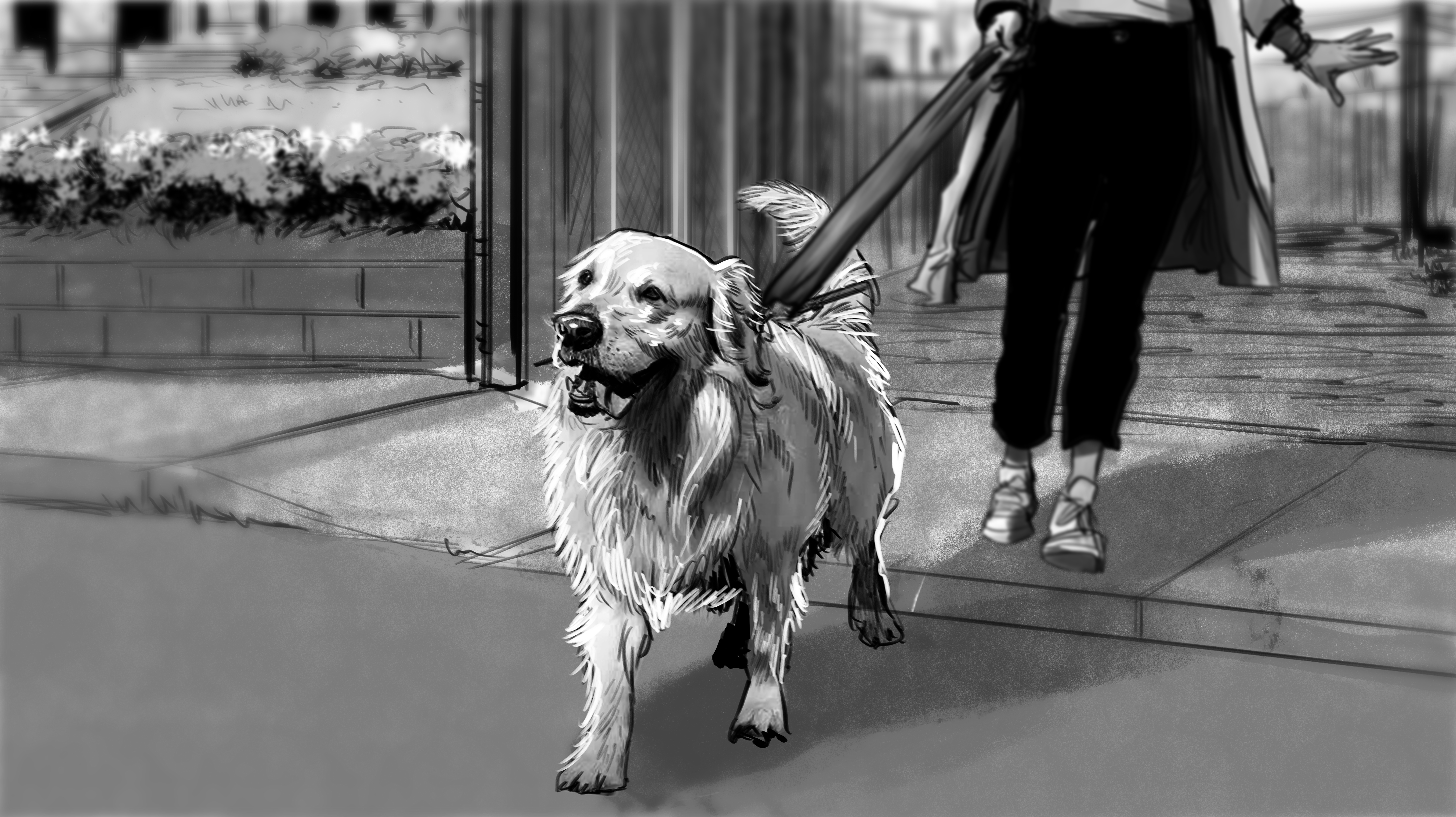 MDC_AMEX_OPTIMIZER_PUPPY_10