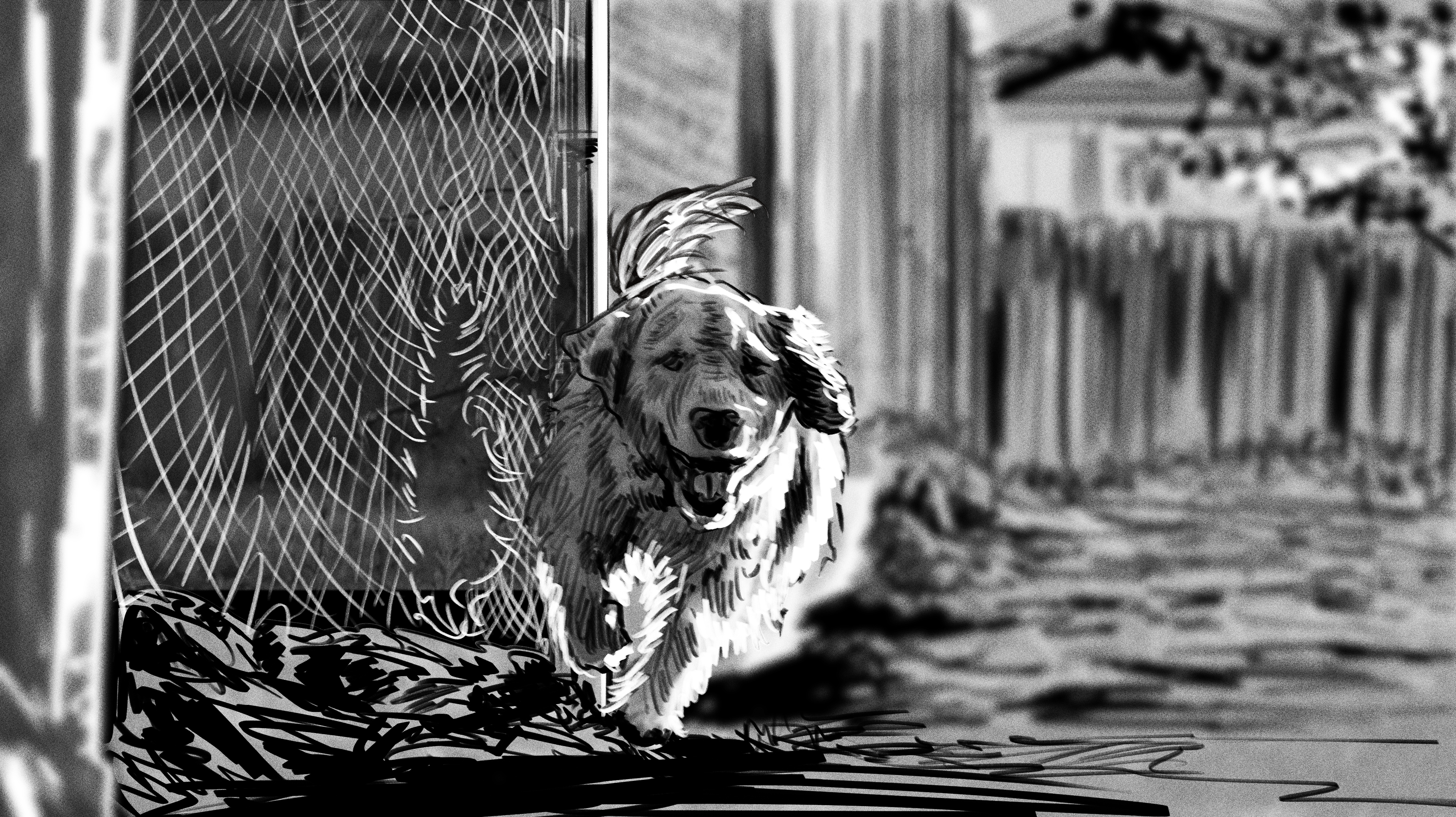 MDC_AMEX_OPTIMIZER_PUPPY_09