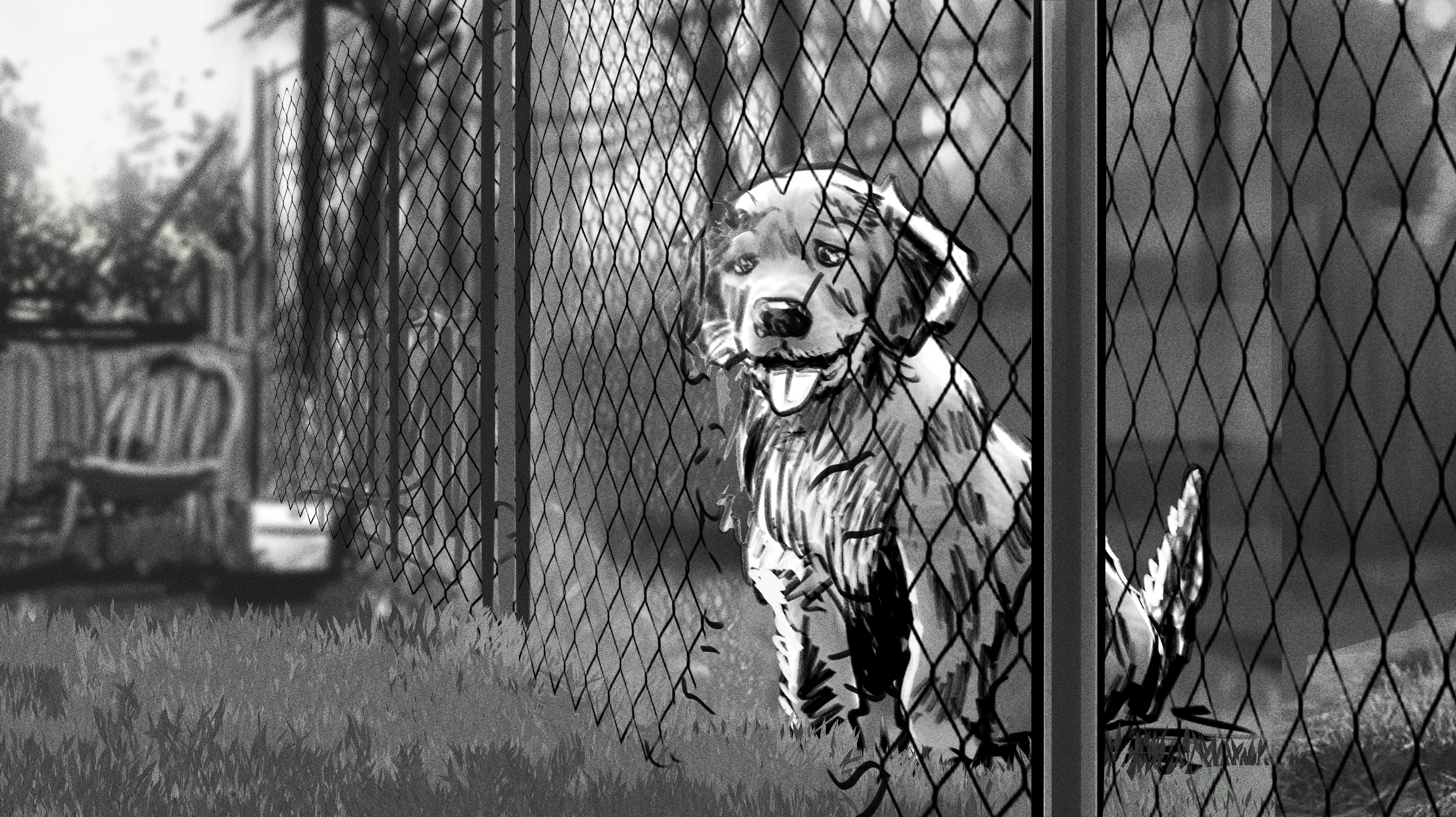 MDC_AMEX_OPTIMIZER_PUPPY_03