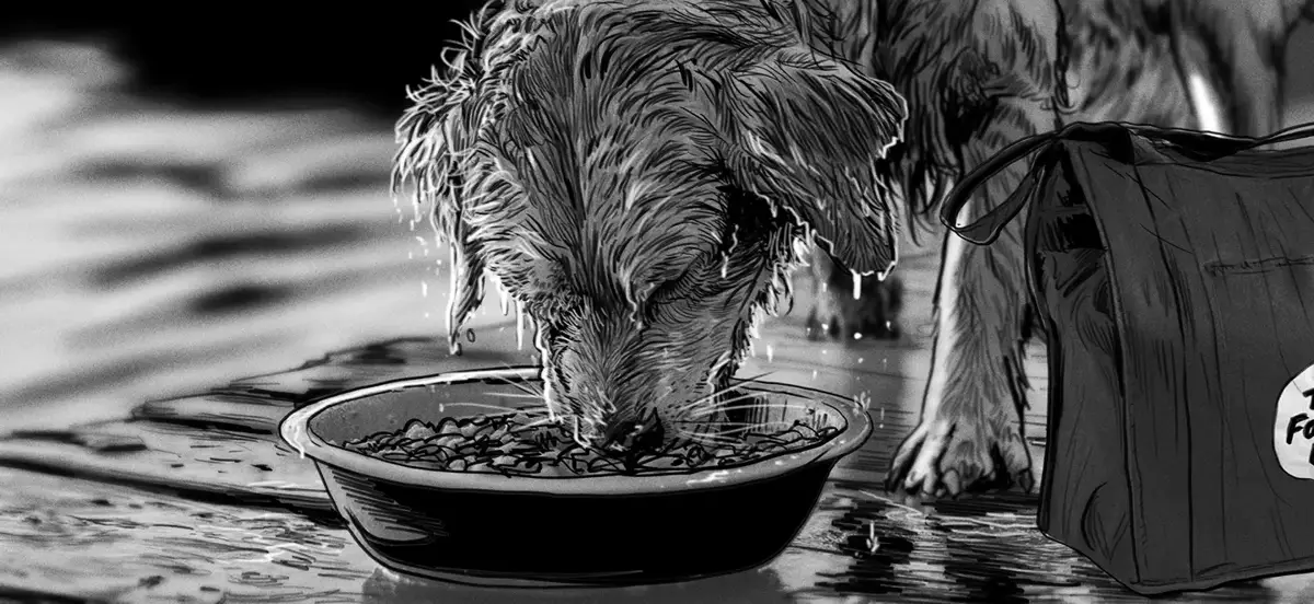 THE FARMER'S DOG — image 20